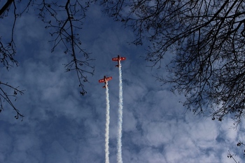 Pochówek prochów Powstańca Wielkopolskiego płk. Wincentego Wierzejewskiego i jego małżonki